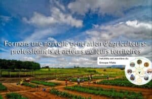 FEKAMA Formation Des Jeunes Du Milieu Rural Au Métier D'agriculteur Antsirabe Madagascar