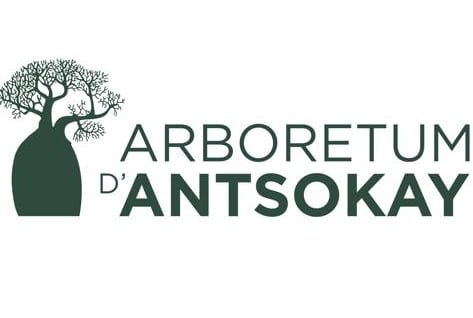 Arboretum d’Antsokay Tuléar découverte faune et flore sud-est de Madagascar