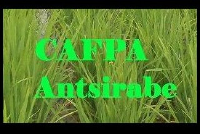 CAFPA Formation Agricole Vente Produits Locaux Légumes Antsirabe Madagascar fromage