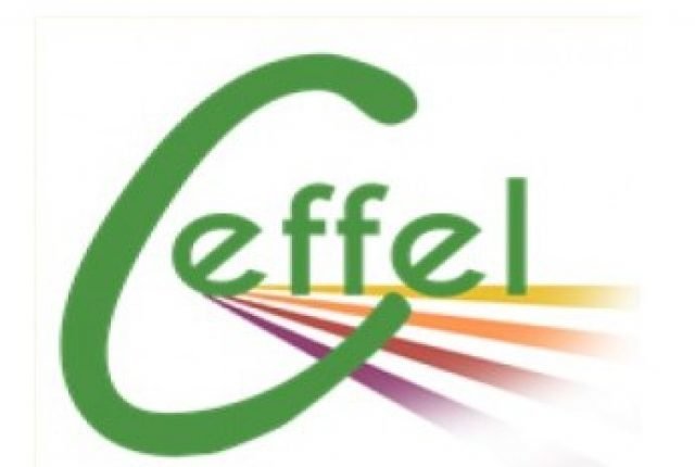 CEFFEL Conseil Expérimentation Formation En Fruits Et Légumes Association Antsirabe Madagascar