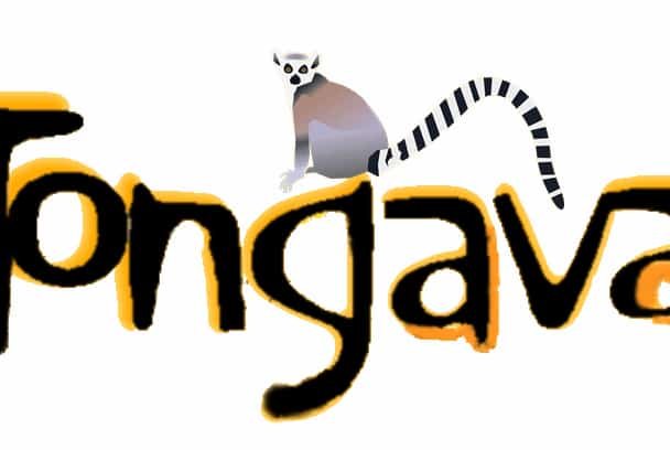 Tongava Tours Tour Opérateur Visites Circuits Location De Voitures Majunga Madagascar